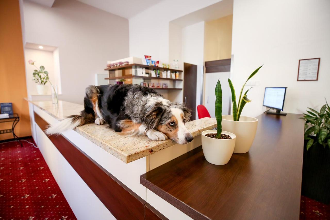 Hotel Tabor Ngoại thất bức ảnh